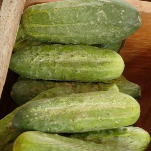 Homemade Pickles WCS product image