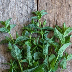 Peppermint product image