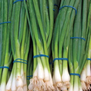 Ramrod product image