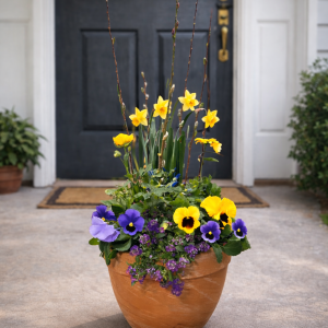 Spring Mixed Terracotta Planter product image