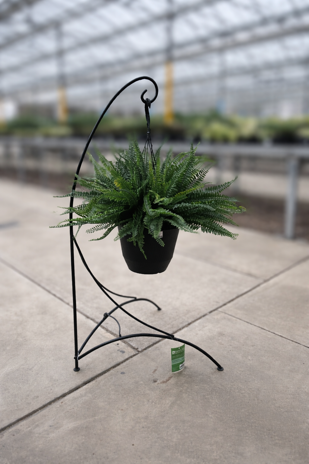 Fern Hanging Basket (Artificial)