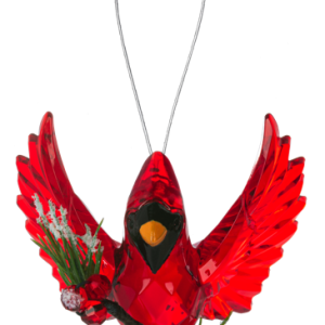 Open Winged Pine Cardinal