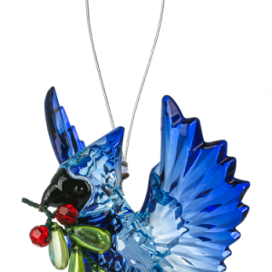 Open Winged Blue Jay