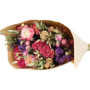 Blushing Beauty - Medium - Canadian Grown