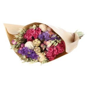 Blushing Beauty - Small - Canadian Grown