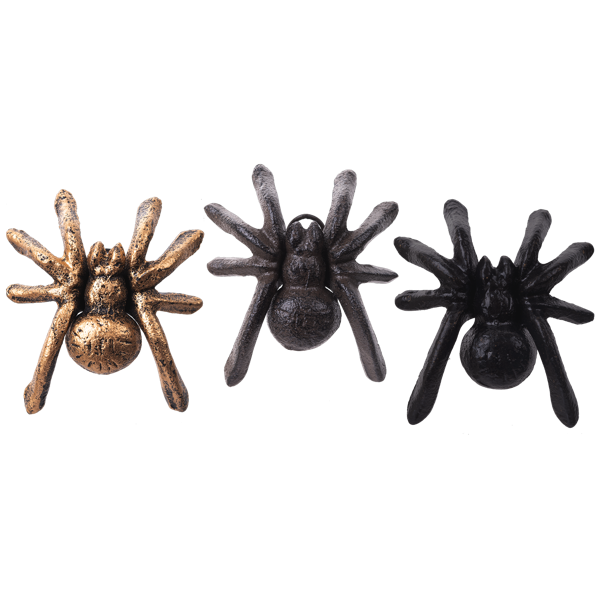 Small Spider