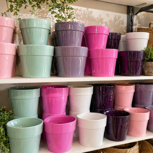 Calima Pot group product image