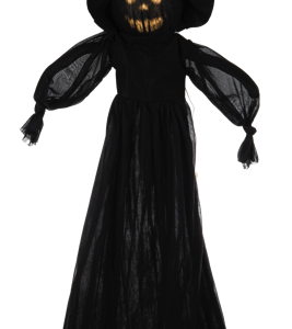 Jack O' Lantern Witch