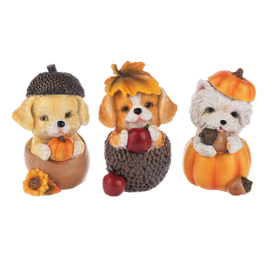 Autumn Harvest Puppy