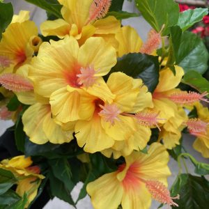 Hibiscus Hanging Vine (Artifcial)