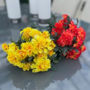 Our Featured Products