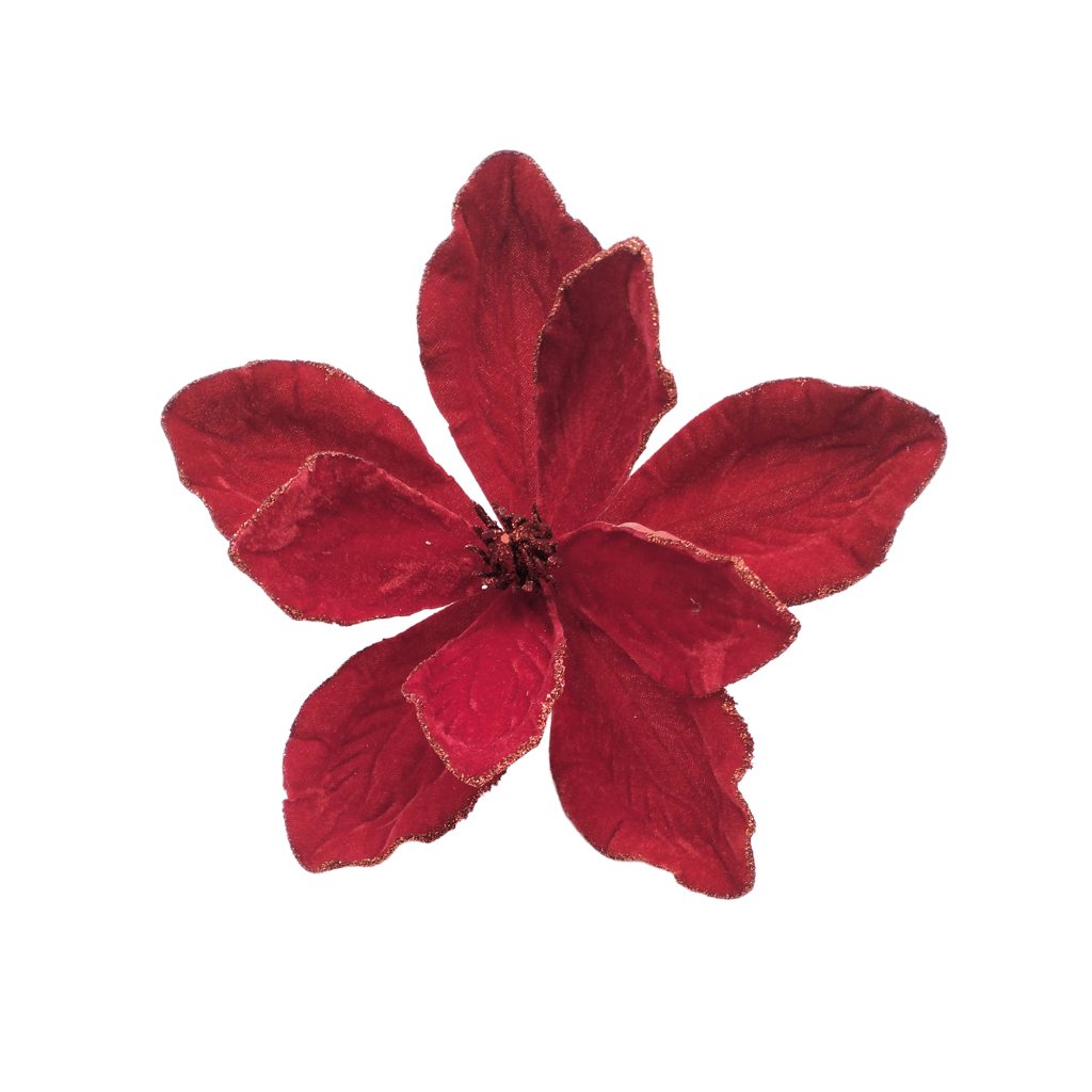 Velvet Magnolia Head