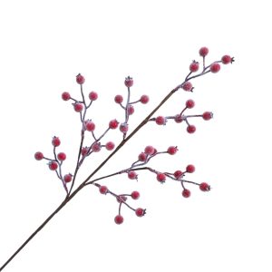 Spray Berry 30" Red W/ Ice