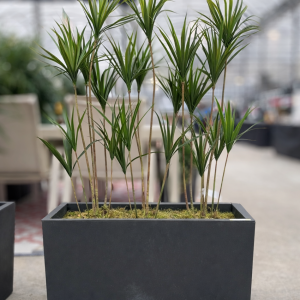Yucca Planter (Artifcial)