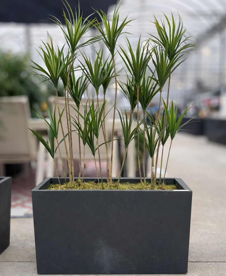 Yucca Planter (Artifcial)