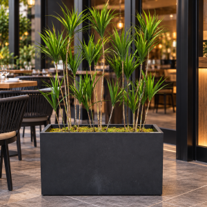 Yucca Planter product image