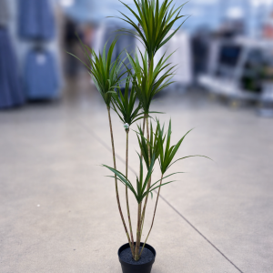 Yucca Tree (Artificial)