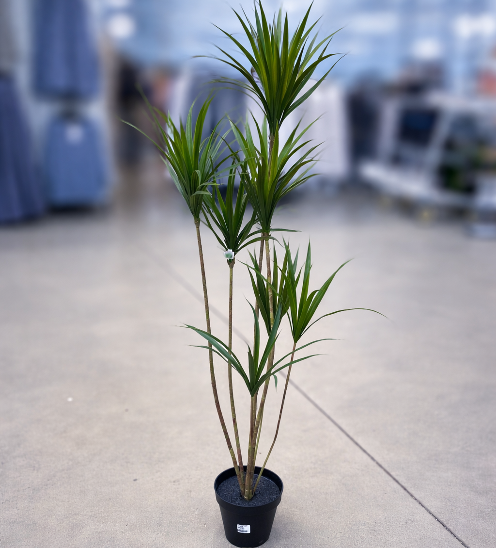 Yucca Tree (Artificial)