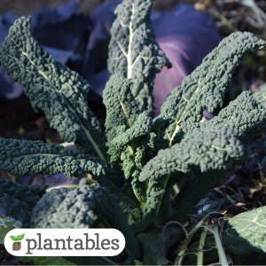 Our Featured Products