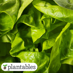 Our Featured Products