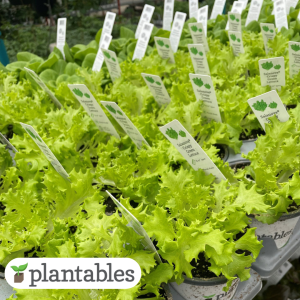 Our Featured Products