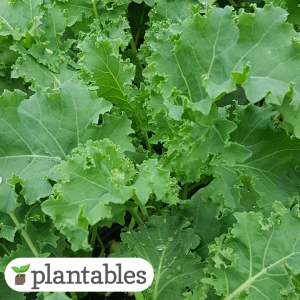 Our Featured Products