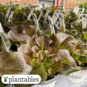 Our Featured Products