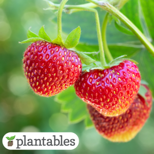 Our Featured Products