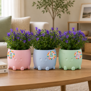 Campanula Spring People Planter