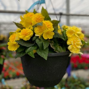 Our Featured Products