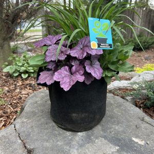 Our Featured Products