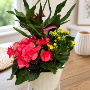 Mothers Day Blooms