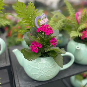 Lovina Teapot