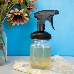 Mason Jar Sprayer Lid - Regular Mouth