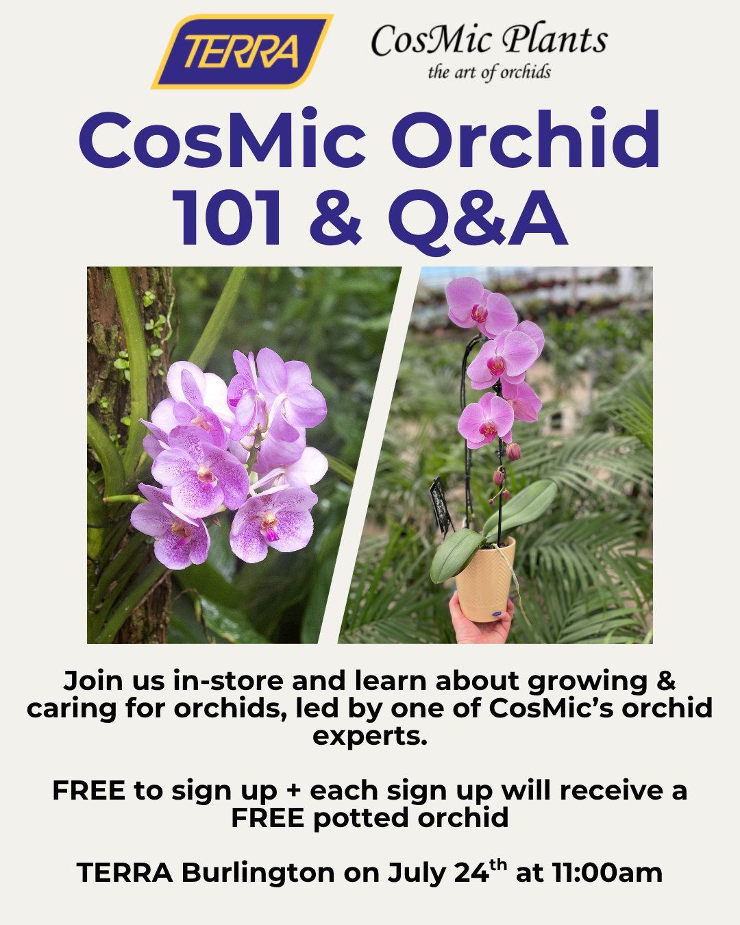 SOLD OUT CosMic Orchid Talk & Q&A at TERRA Burlington