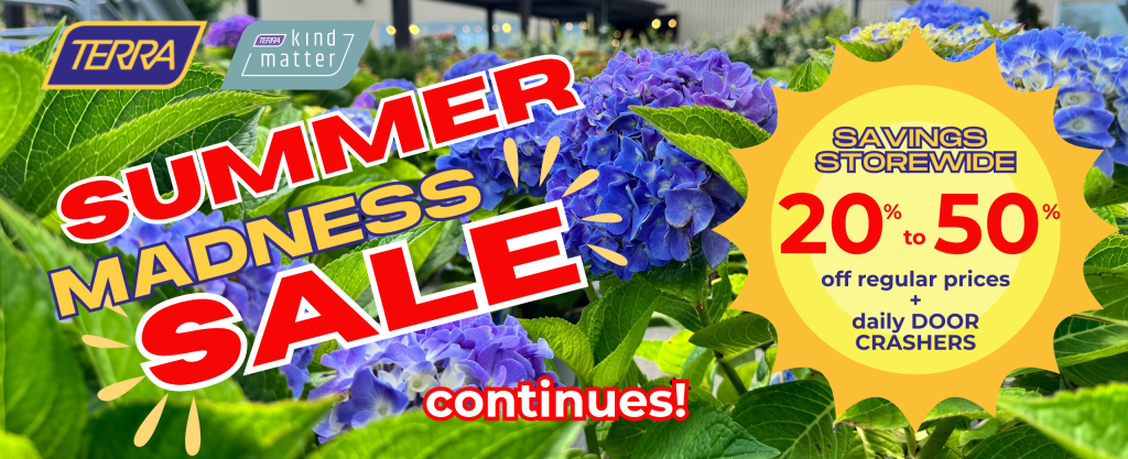 blue hydrangeas advertise the Summer Madness Sale at TERRA