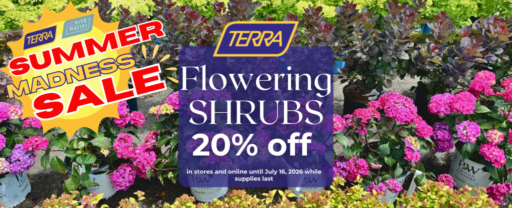 a display of colourful shrubs and blooming pink hydrangeas