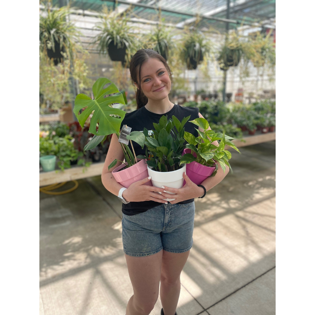 Build Your Own Houseplant with ceramic product image