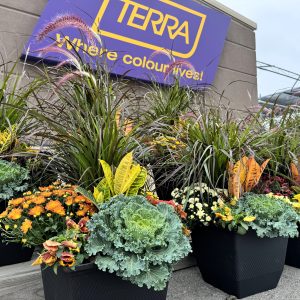 15" Fall Planter