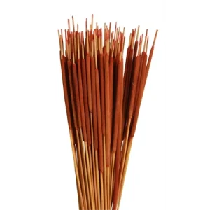 Dried Accent - Pencil Cattails
