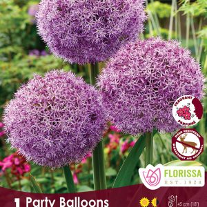 Allium Party Balloons (1bulb/pkg)