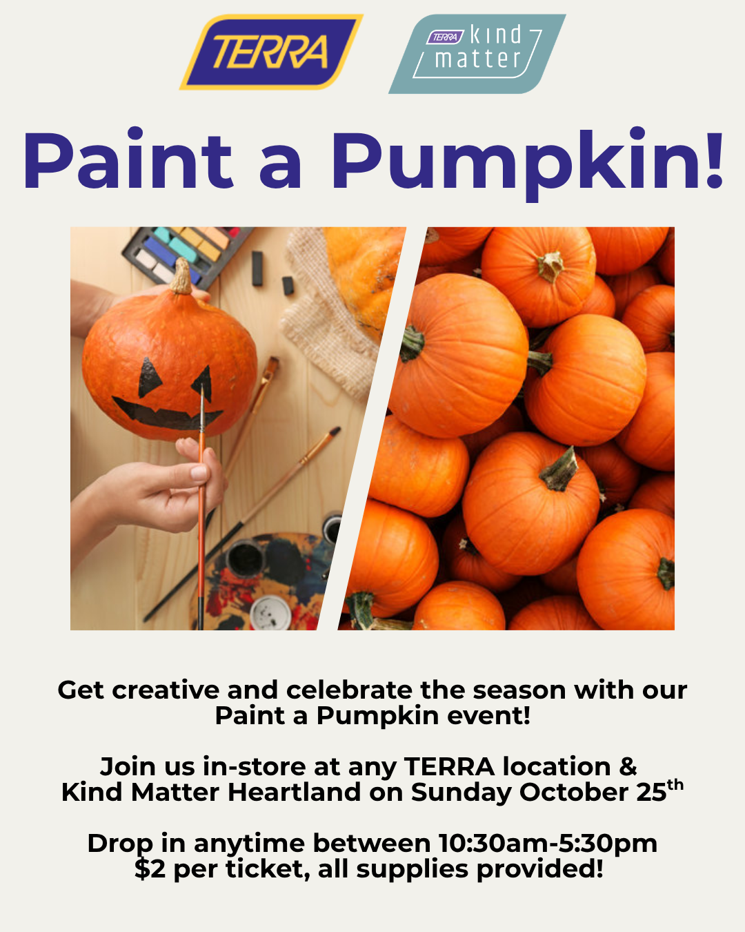 Paint a Pumpkin at TERRA Burlington