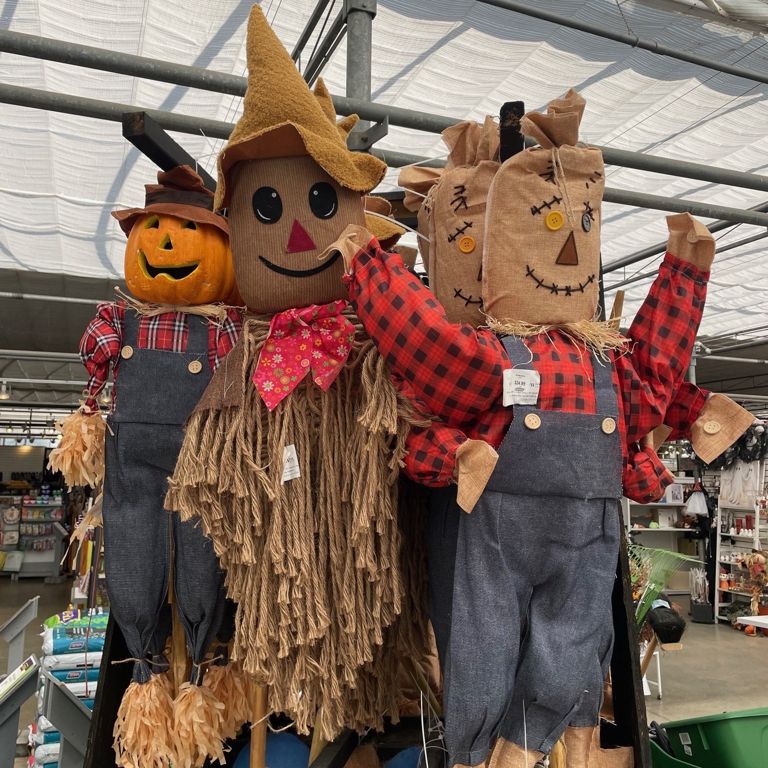5' Assorted Scarecrows product image