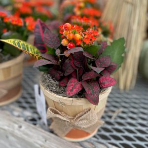 Rustic Bracebridge Garden product image