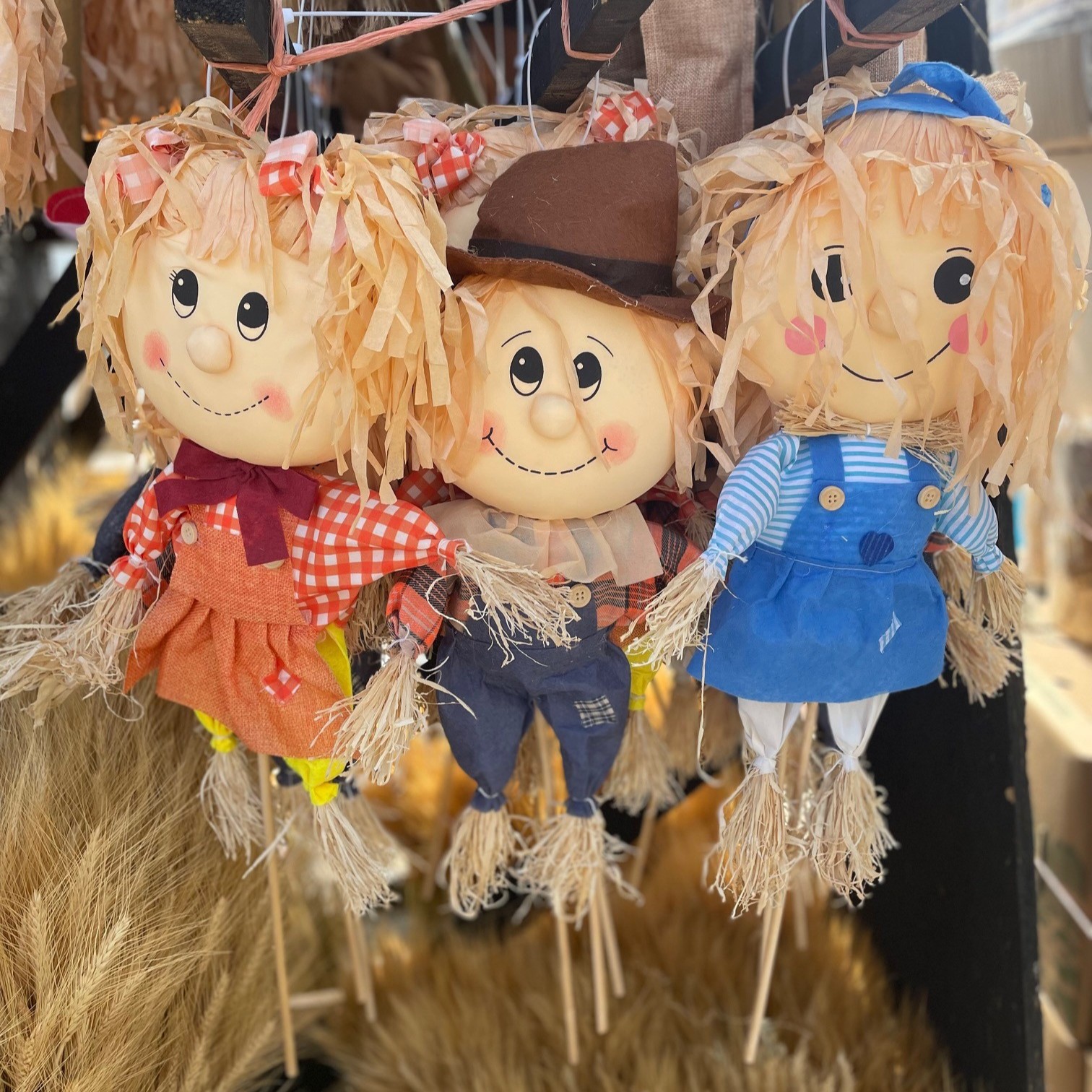 Mini Fall Toddler Picks product image