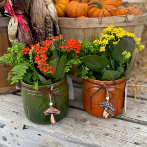 Fungi Mason Jar Garden product image