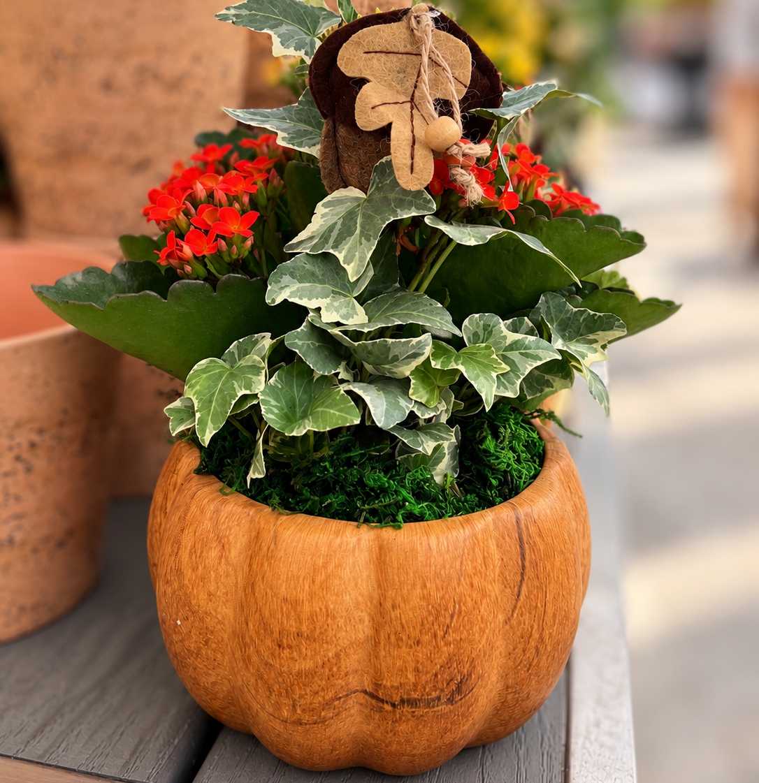 Hickory Pumpkin Garden product image