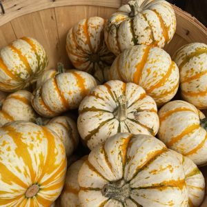 Mini Striped Pumpkins product image