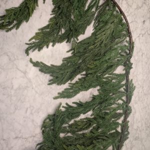 60" Norfolk Pine Window Drop