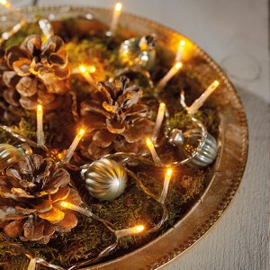LED Durawise Basic Lights Transparent 23.3 ft